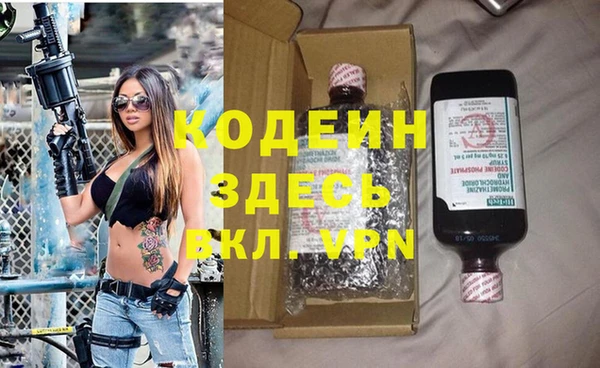 дурь Заводоуковск