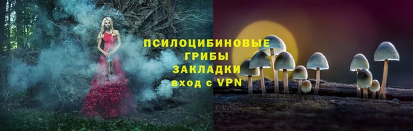 эйфоретик Заволжье
