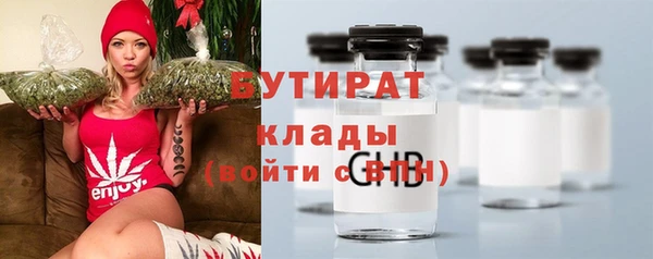 шишки Горняк