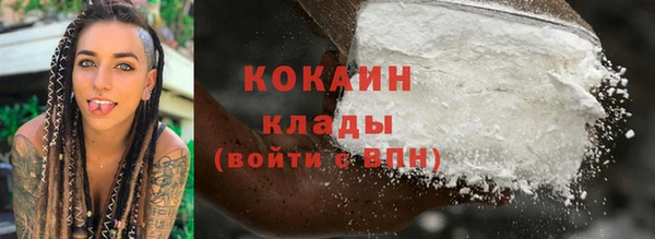 ALPHA PVP Ельня