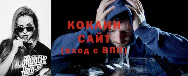 шишки Горняк