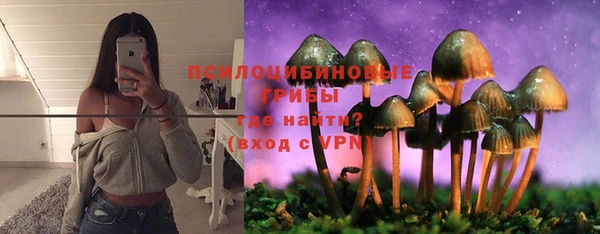 шишки Горняк