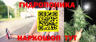a pvp Берёзовский