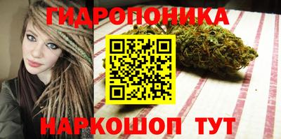 a pvp Берёзовский