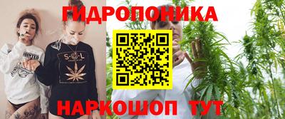 мяу мяу мука Беслан