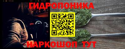 spice Бийск