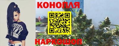 мяу мяу мука Беслан